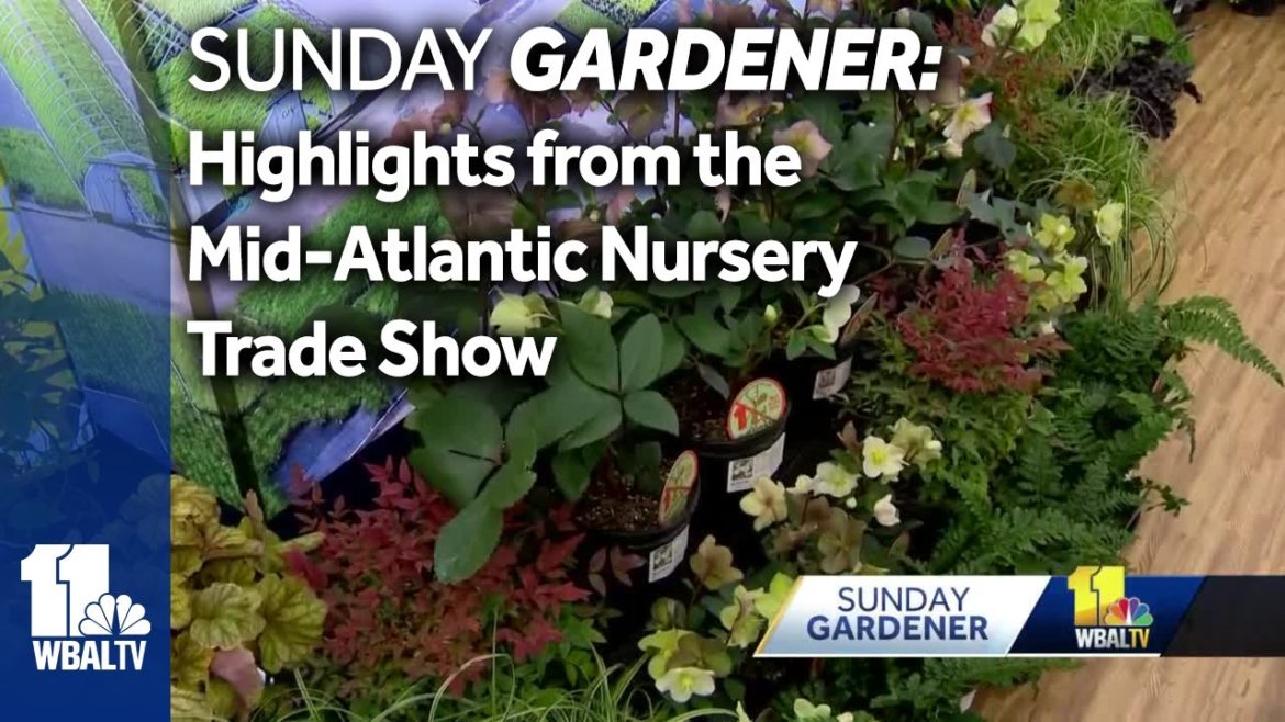 Sunday Gardener: Highlights from the Mid Atlantic Nursery Trade Show