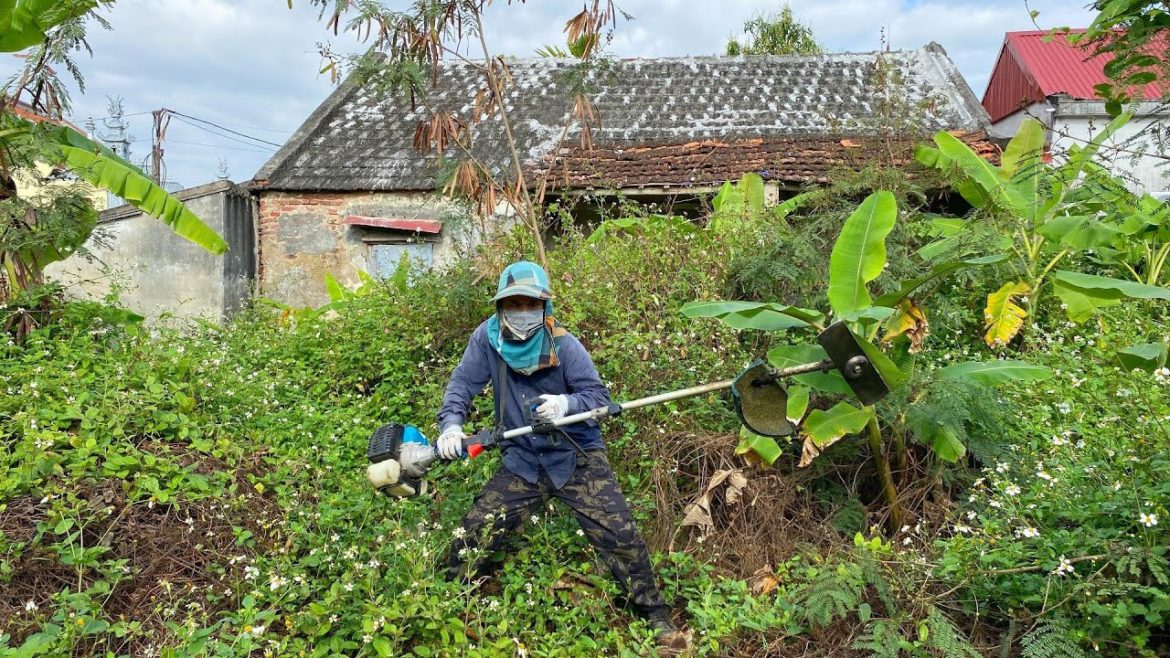 WE KNOCKED Backyard Overgrown Grass House Lawn mowing Transformation cleaning the garden ASMR WE KNOCKED Backyard Overgrown Grass House Lawn mowing Transformation cleaning the garden ASMR