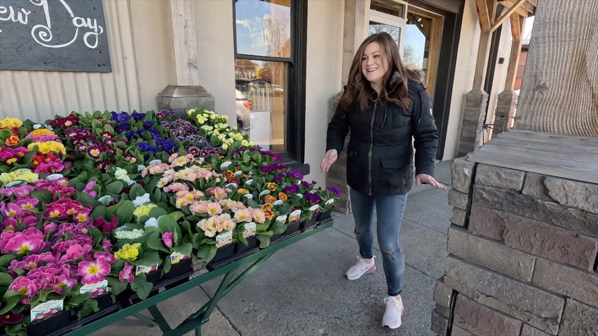 New Plant Load & Spring Window Display at the Garden Center! 🌸🍓🥦 // Garden Answer