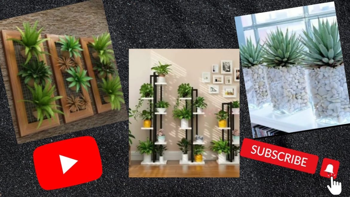 interior design for decorating plants at home indoor garden design. interior design for decorating plants at home indoor garden design.