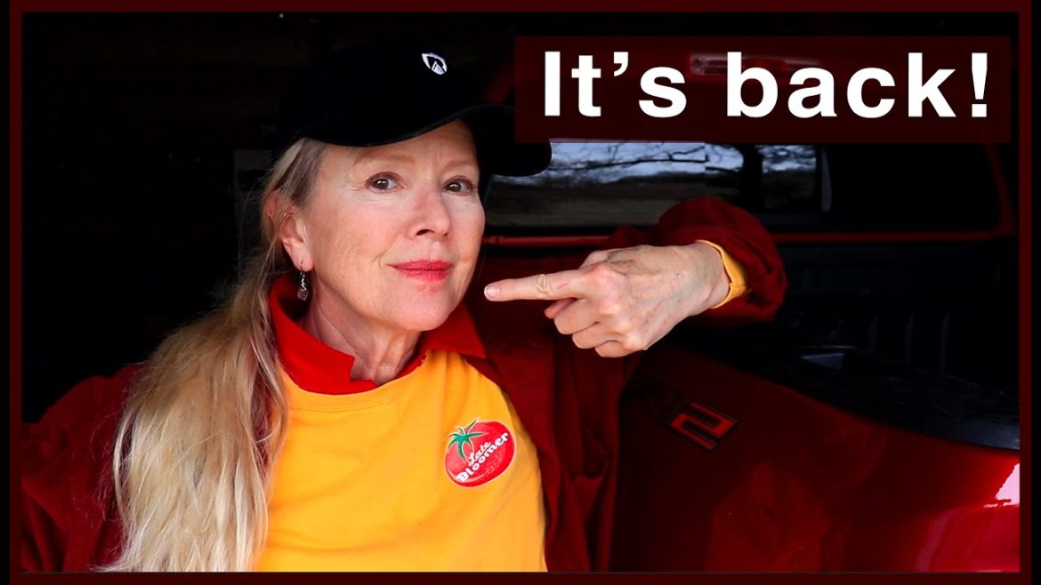 Kaye Kittrell: I DROPPED MY GUARD I DROPPED MY GUARD