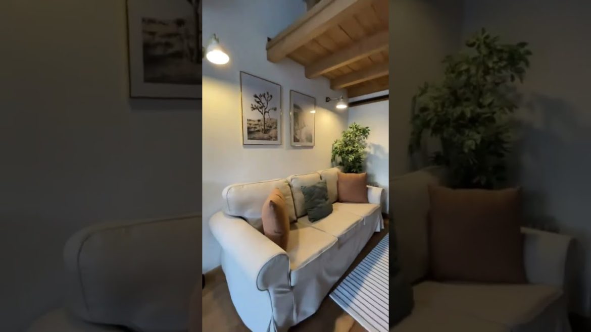 Small House #shorts Small House #shorts