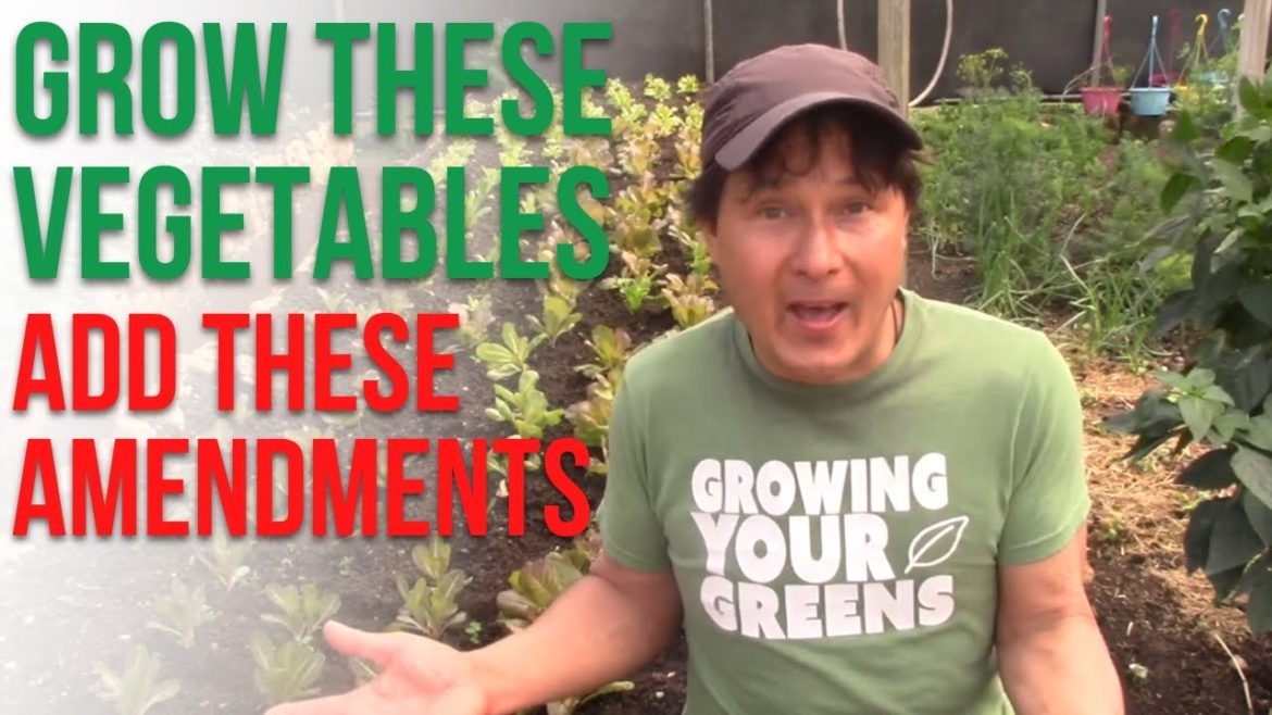 How to Grow More Vegetables Faster in Tropical Climates