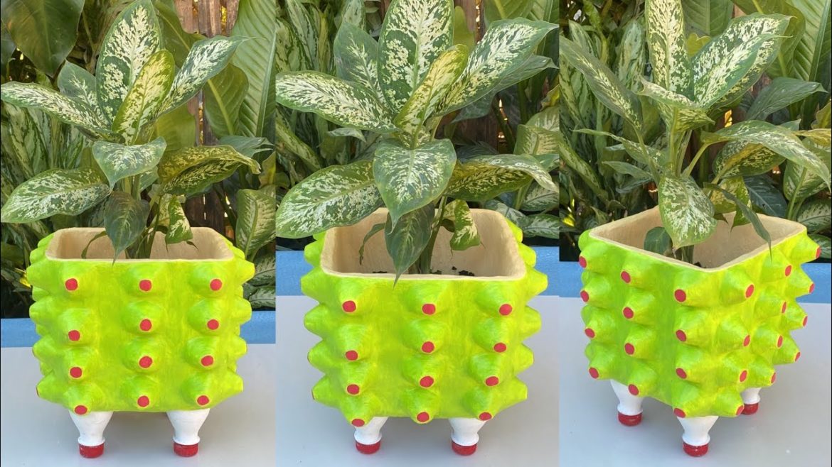 Making Flower Pot Planters Home Garden Decor From Egg Tray And Plastic Bottle With Cloth | Cement