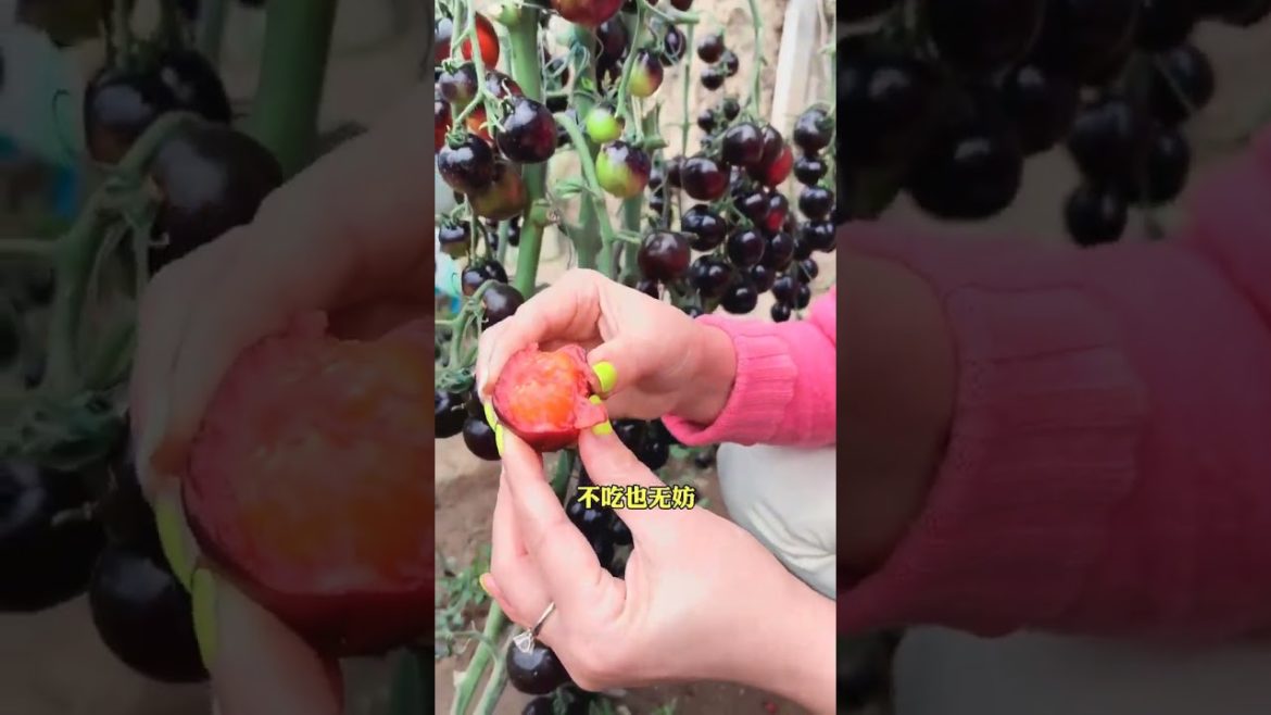 Growing nature in living #shorts 120