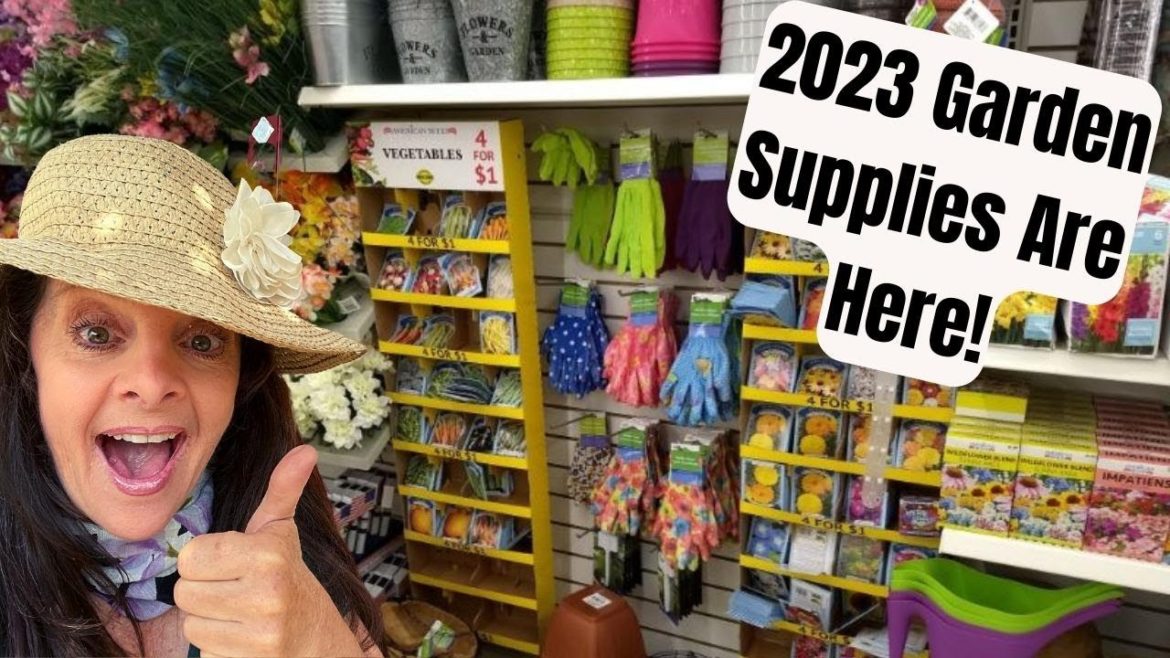 Gardening on a Budget??? Dollar Tree Has it ALL! Gardening on a Budget??? Dollar Tree Has it ALL!