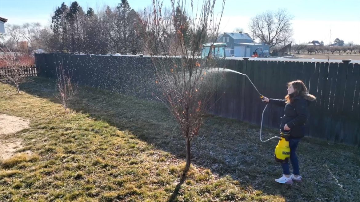 Garden Answer: Spraying Fruit Trees & Potting Cacti! 🌳🌵🥰 // Garden Answer Spraying Fruit Trees & Potting Cacti! 🌳🌵🥰 // Garden Answer
