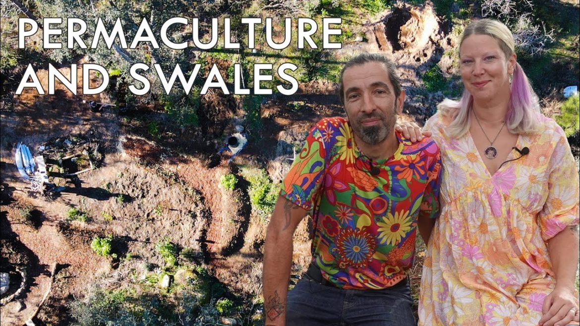 Our Permaculture Food Forest – PUTTING SWALES IN – EP1 DAY ZERO Our Permaculture Food Forest - PUTTING SWALES IN - EP1 DAY ZERO