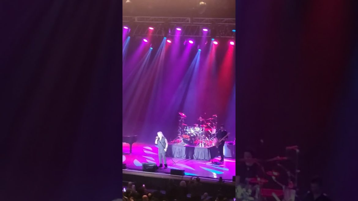 🔴🎸🎧😍🎶 WITHOUT YOU 🎶- Air Supply Live Concert - #shorts #live #liveconcert #airsupply