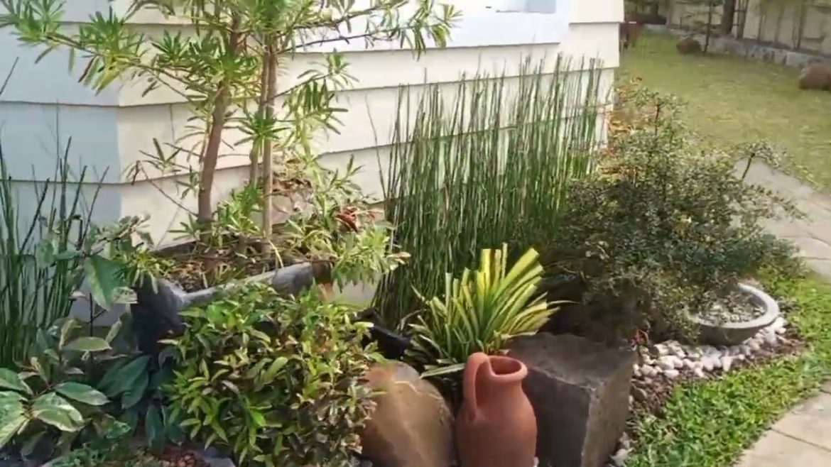 Backyard landscaping ideas|House garden|Landscape garden