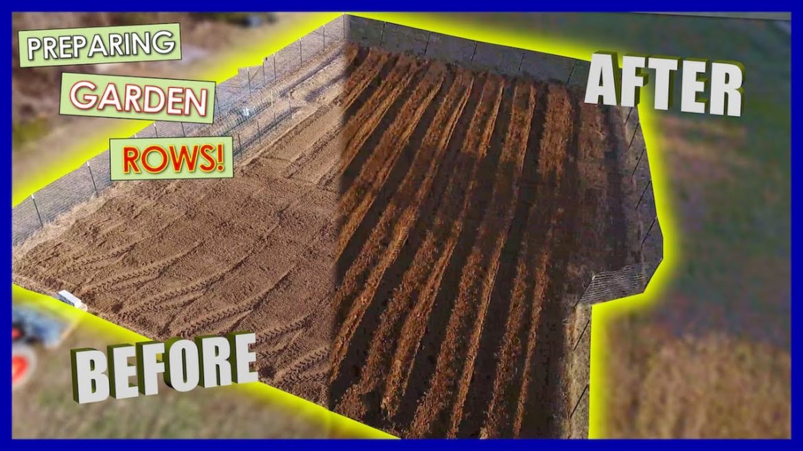 The GARDEN plans are COMING together! The GARDEN plans are COMING together!