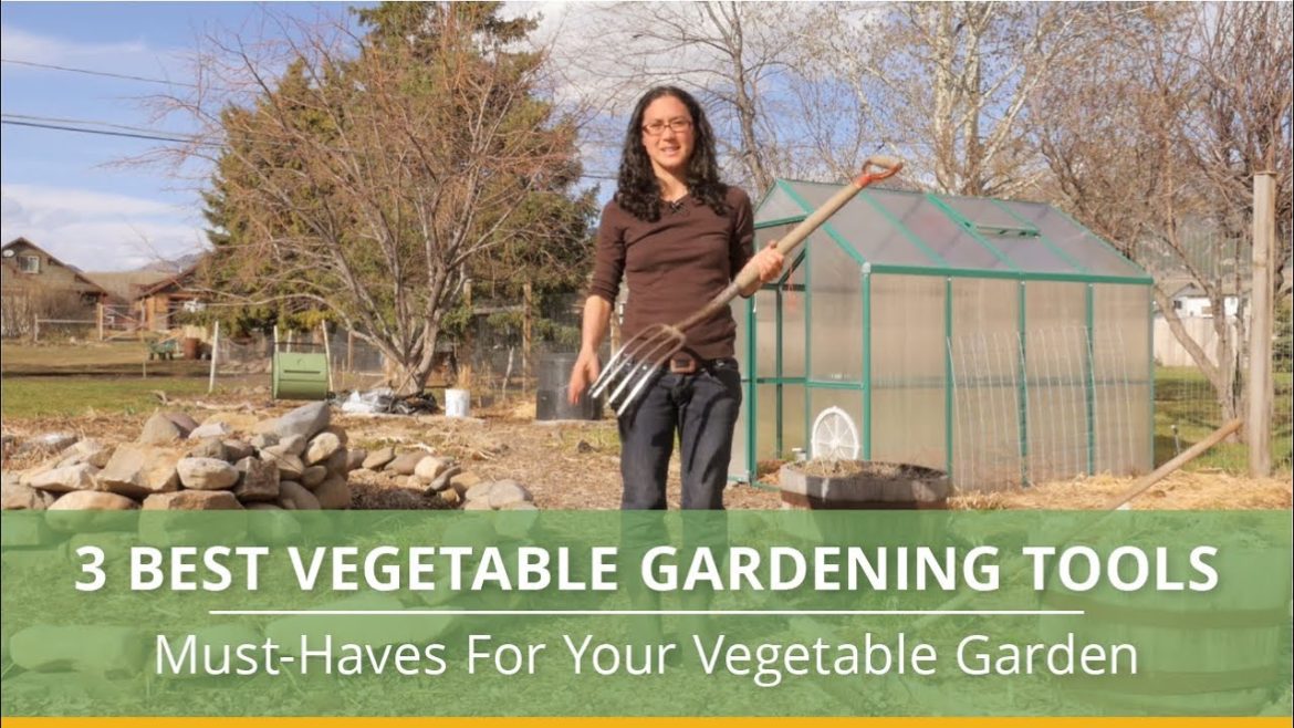 The 3 Best Vegetable Gardening Tools The 3 Best Vegetable Gardening Tools