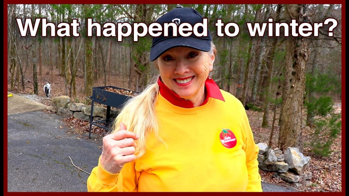 If you like CATS and FLOWERS you'll LOVE THIS!