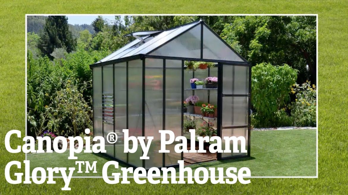 Canopia® by Palram Glory™ Greenhouse