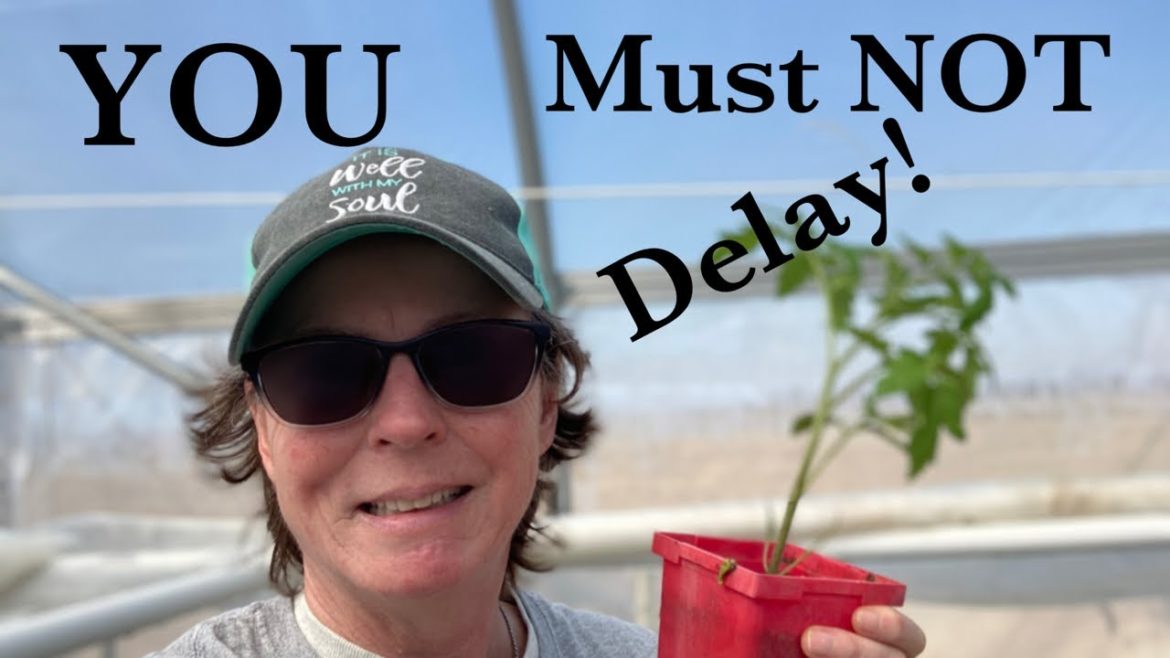 Are YOU sitting on a Gold Mine? This is the year!