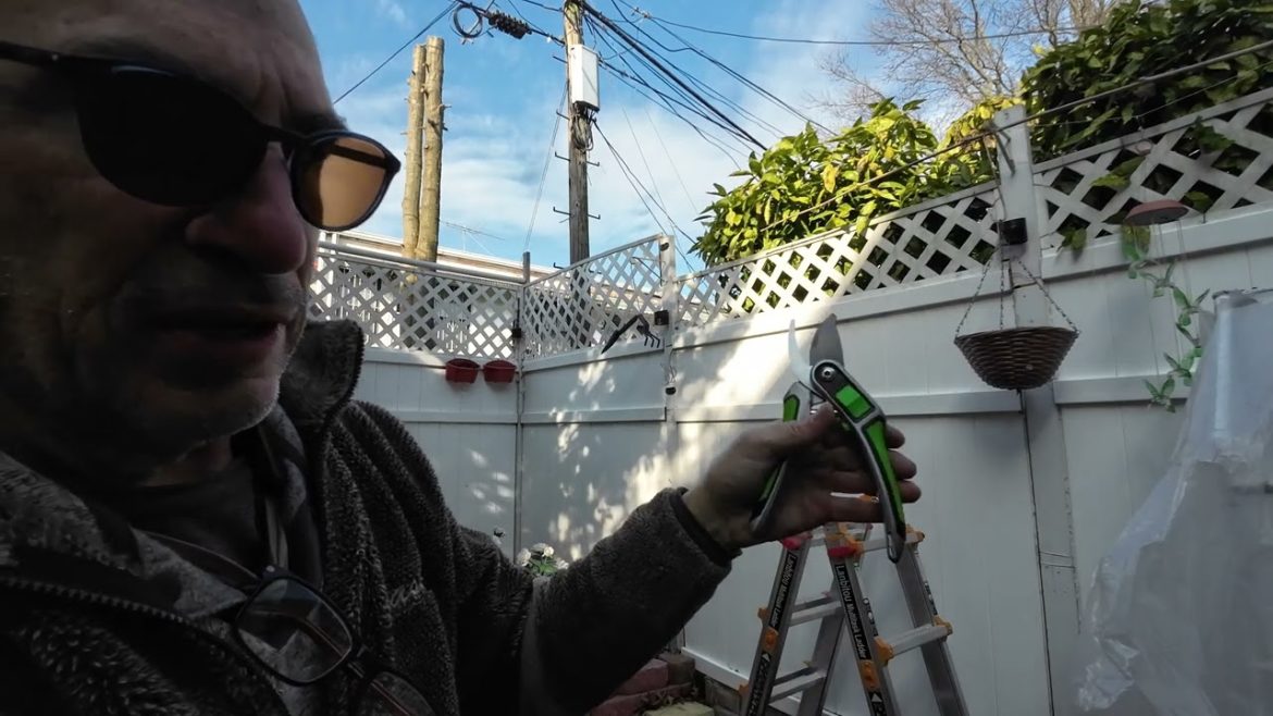 Pruning Shears For Gardening Heavy Duty - Bypass Pruner,