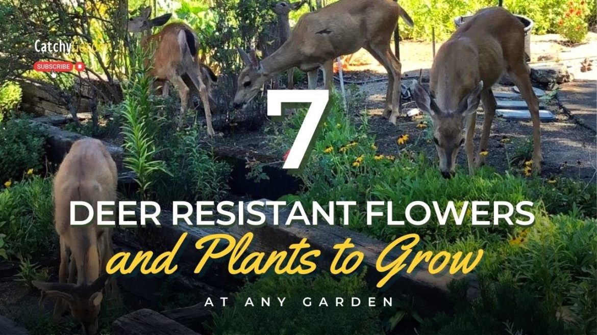7 Best Deer Resistant Flowers and Plants to Grow at Any Garden 🌸🌹🌺 // Gardening Tips