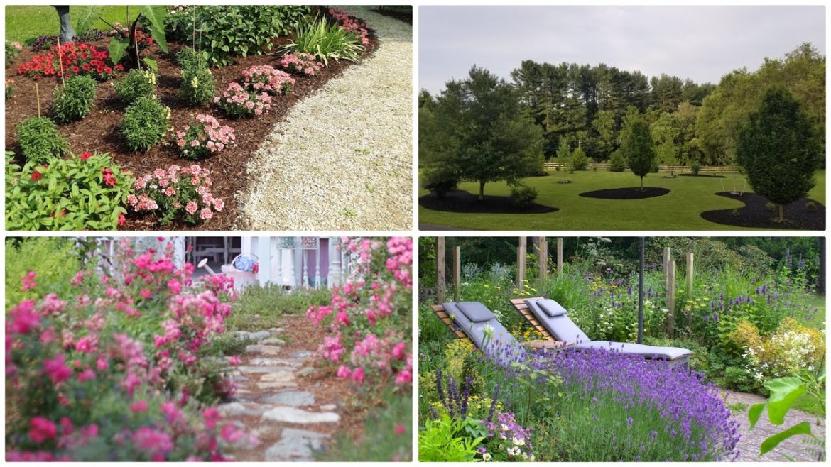 Garden Answer: Beautiful Gardens #!6 🌿 Beautiful Gardens #!6 🌿