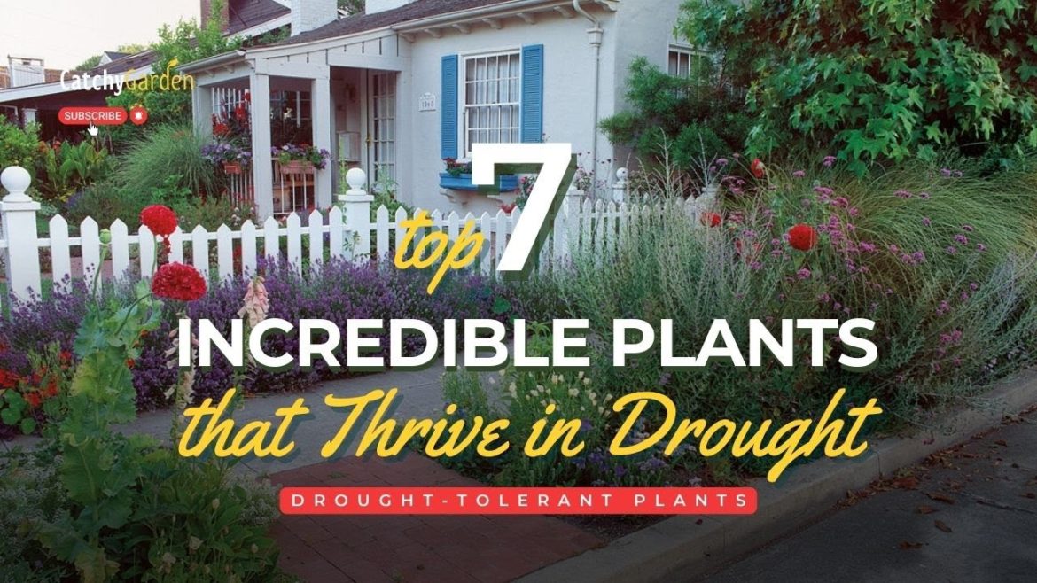 7 Incredible Plants That Can Thrive in a Drought 🌷🌵🌺 // Gardening Tips
