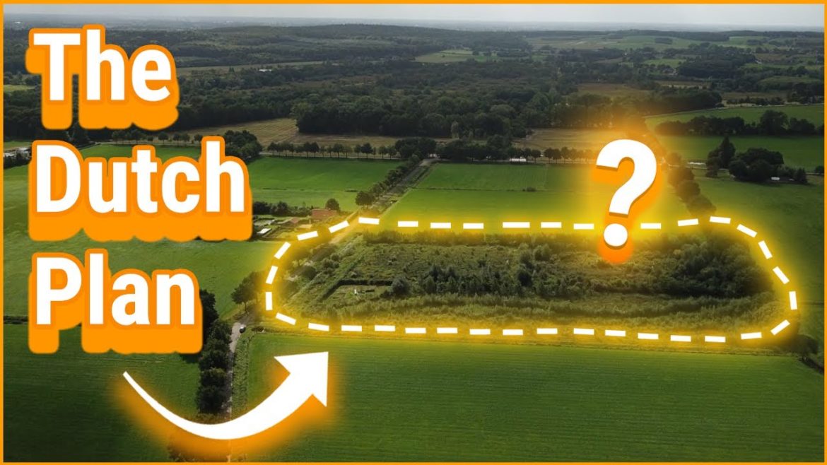 This discovery will change everything! This discovery will change everything!