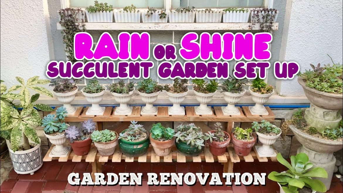 OUTDOOR SUCCULENT GARDEN IDEAS | DIY GARDEN RENOVATION | By Intri's TV OUTDOOR SUCCULENT GARDEN IDEAS | DIY GARDEN RENOVATION | By Intri's TV