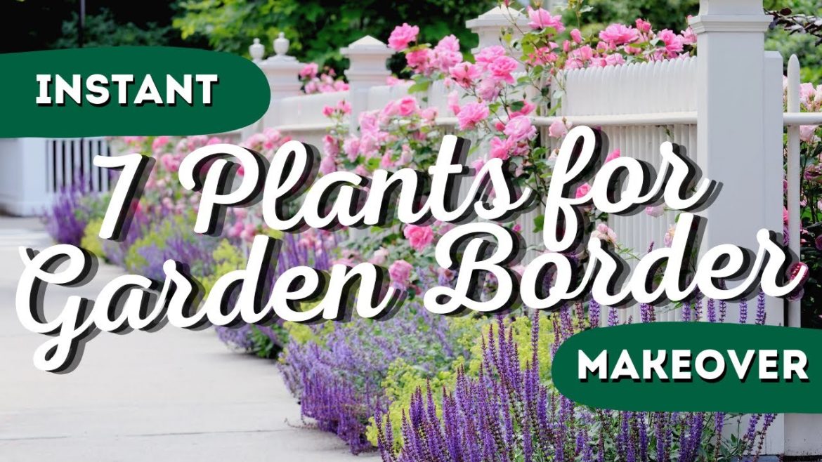 Drab to Fab: The 7 Best Garden Border Plants for Instant Wow Factor! 👍