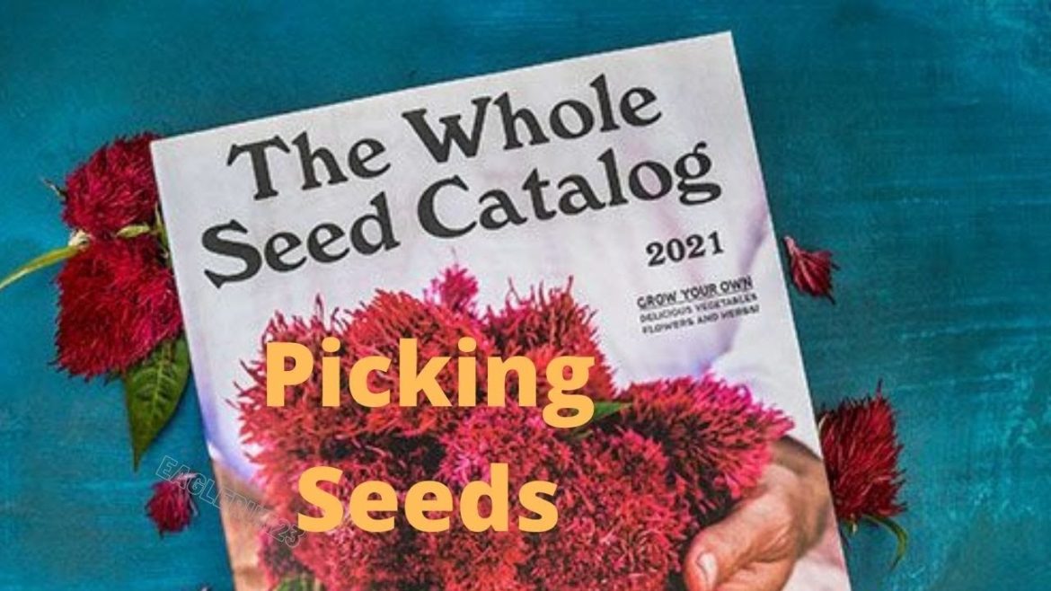 2021 Garden Plans: what seeds?