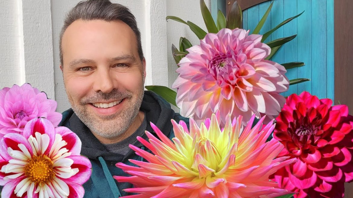 California Garden TV: Get Started With Dahlias! Plus Cottage Garden Update. Get Started With Dahlias! Plus Cottage Garden Update.