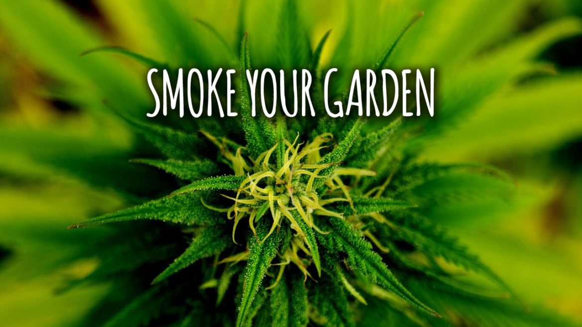 A Look Inside: 2015 Garden Trends – Smoke Your Garden A Look Inside: 2015 Garden Trends - Smoke Your Garden