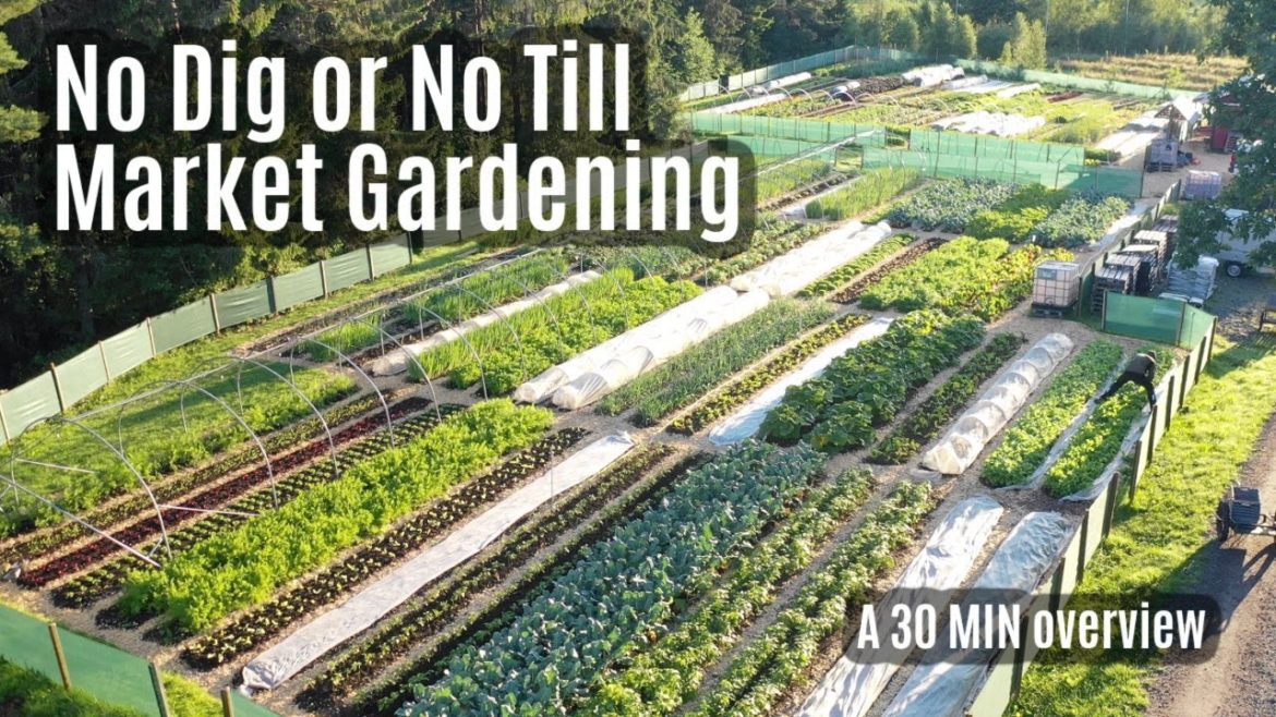 No-Dig / No-Till Market Gardening: overview in 30 mins No-Dig / No-Till Market Gardening: overview in 30 mins