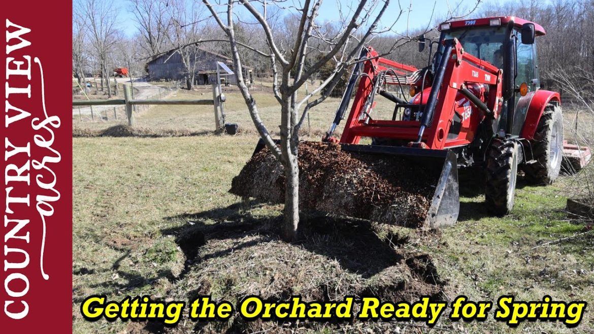 Cleaning up the the Orchard and Getting it ready for spring | Plans for this years garden Cleaning up the the Orchard and Getting it ready for spring | Plans for this years garden