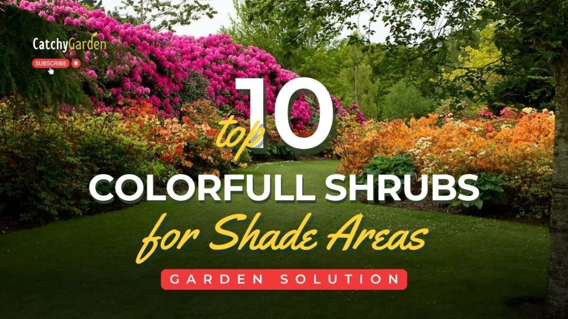 10 Shrubs That Will Add Color and Thrive in the Shade 🌸🌳🌷 // Gardening Tips