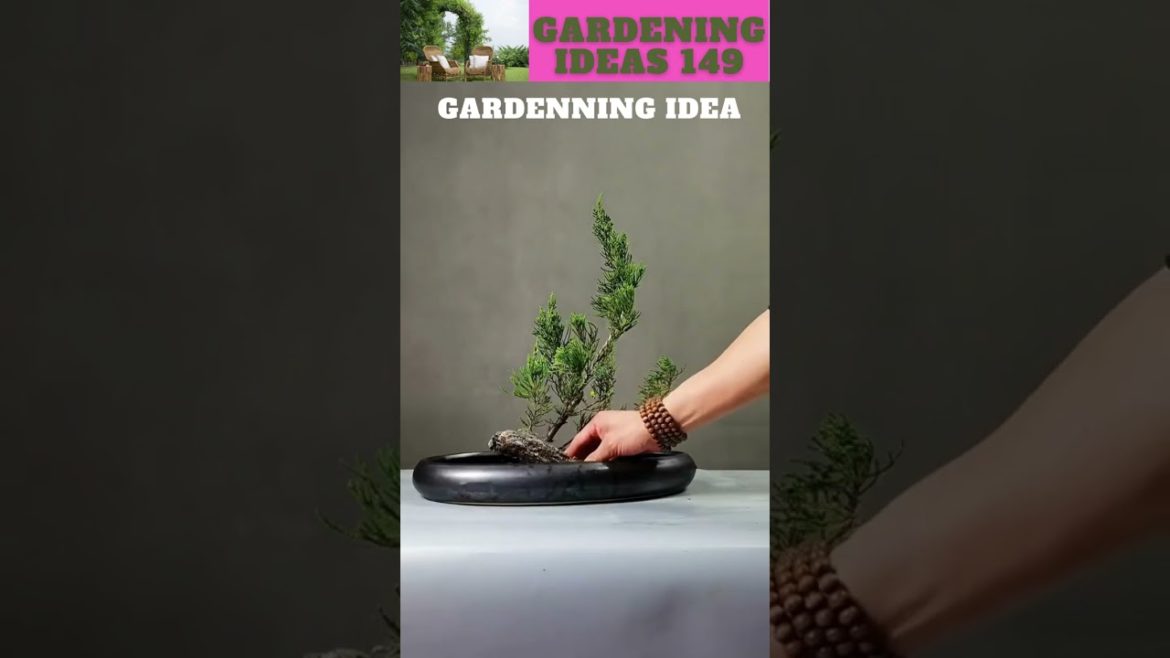 You can also try thisππ΄π±πΏπ/gardening ideas nonstop πβ¦ You can also try thisππ΄π±πΏπ/gardening ideas nonstop πβ¦