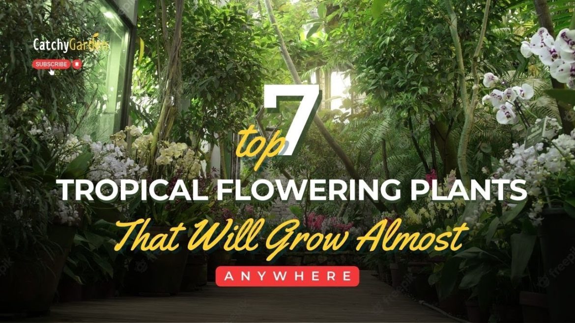 7 Tropical Flowering Plants That Will Grow Almost Anywhere 🌸☘️🌺 // Gardening Ideas