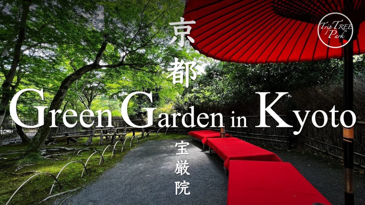 Green Japanese Gardens in Kyoto, Arashiyama | #8 | Maple Leaves and Garden Design Culture in Japan