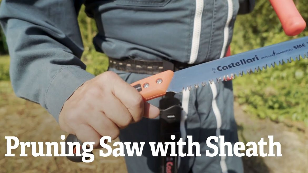 Pruning Saw with Sheath