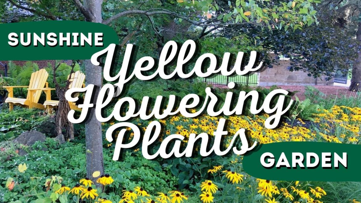 Say Goodbye to Boring Gardens: These 7 Yellow Flowering Plants Will Transform Your Landscape! π» π Say Goodbye to Boring Gardens: These 7 Yellow Flowering Plants Will Transform Your Landscape! π» π