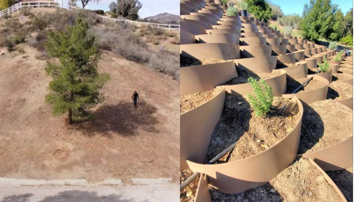 TIMELAPS: Installing our Hillside Garden (Transforming A Hillside into an Edible Colorful Landscape) TIMELAPS: Installing our Hillside Garden (Transforming A Hillside into an Edible Colorful Landscape)