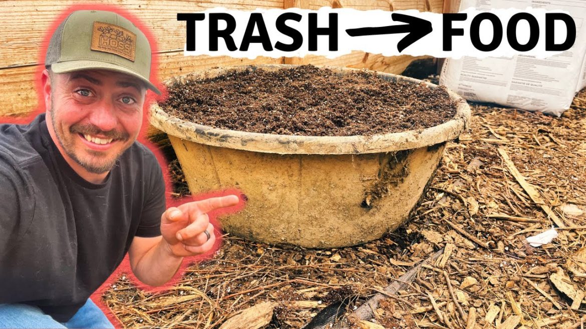 Turn Trash Into A Garden | FREE Container Garden Hack