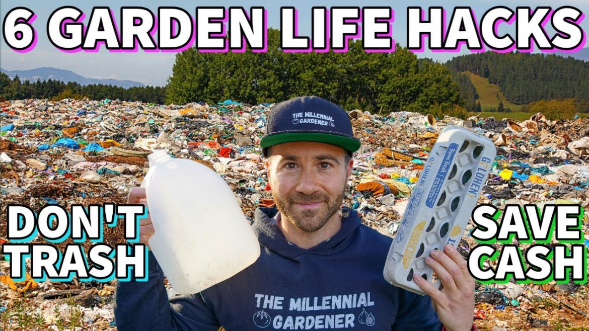 NEVER Trash These 6 Things: Save Them To GROW MORE FOOD!