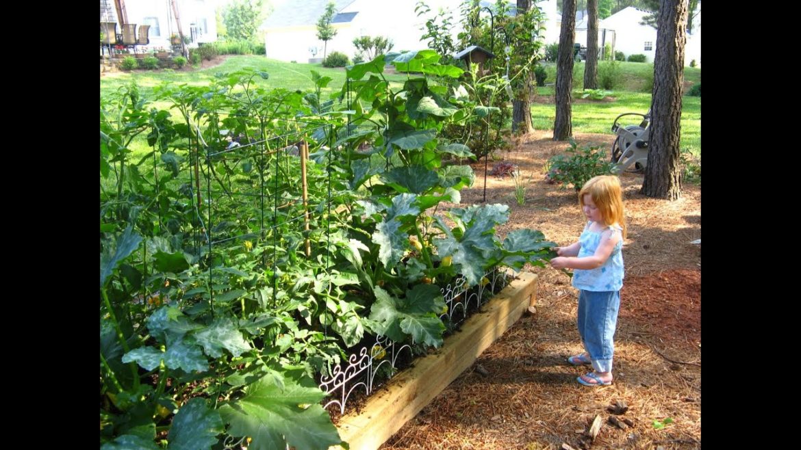2023 Gardening in the Panhandle LIVE! Small Scale Vegetable Gardening 2023 Gardening in the Panhandle LIVE! Small Scale Vegetable Gardening
