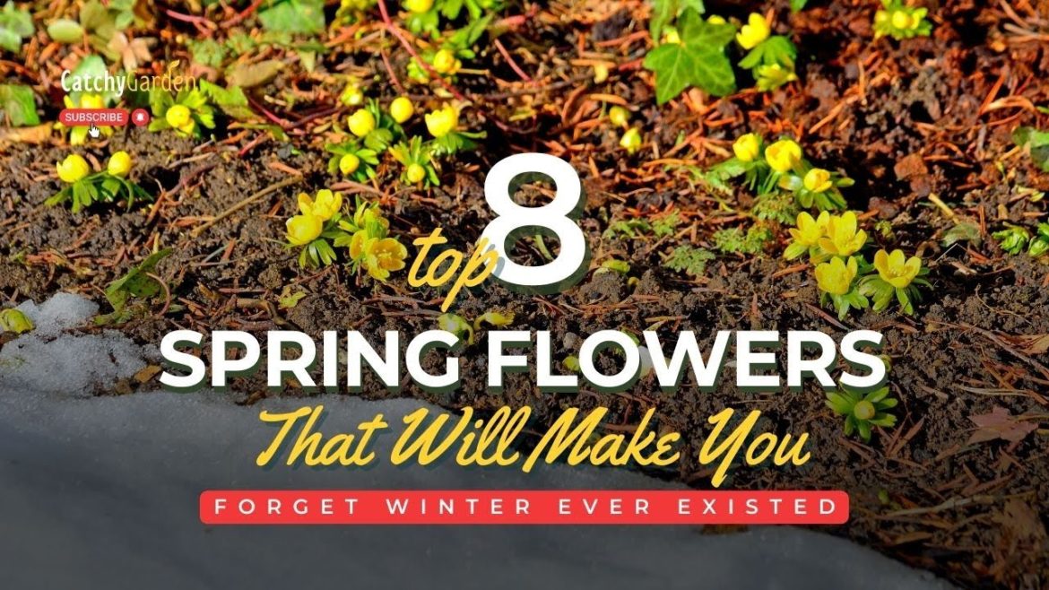 8 Spring Flowers That Will Make You Forget Winter Ever Existed 🌷🌱🥀 // Gardening Tips