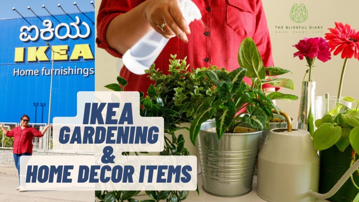 IKEA Gardening & Home Décor Items I Have Purchased, With Prices | Gardening Essentials & Décor