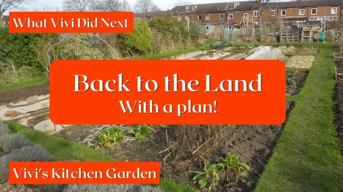 Vivi's Kitchen Garden: Back to the Land (with a plan!) Vivi's Kitchen Garden: Back to the Land (with a plan!)