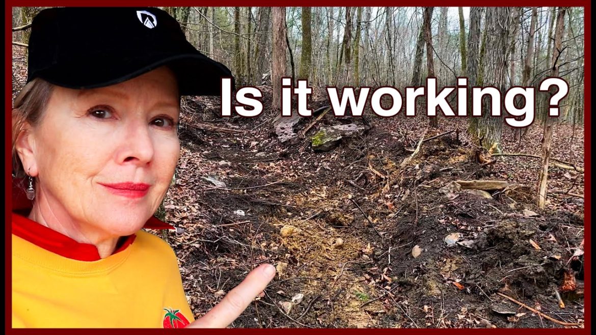 How am I doing for February?