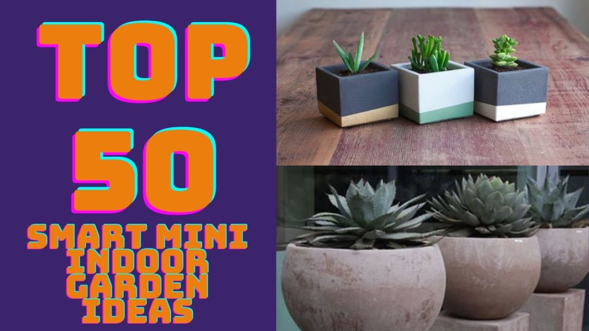 Top 50 Smart Mini Indoor Garden Ideas Top 50 Smart Mini Indoor Garden Ideas