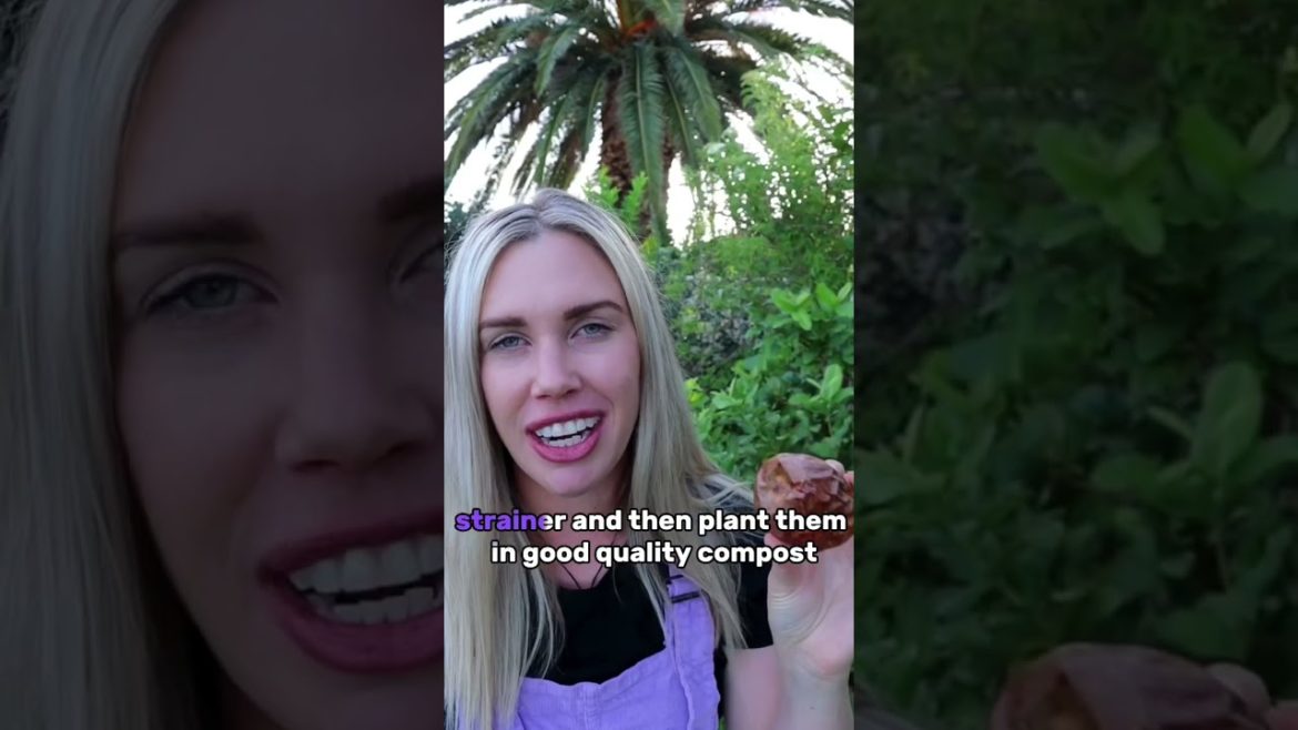 Grow from store bought passionfruit 🌱🤯 #gardeningtips #shorts