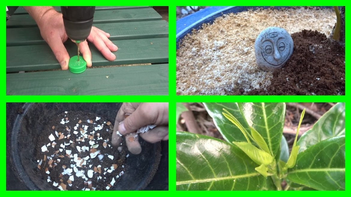 10 Money Saving Gardening Hacks! Tips! Ideas! 10 Money Saving Gardening Hacks! Tips! Ideas!