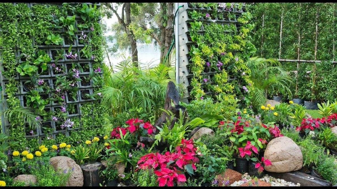 Vertical Garden ideas