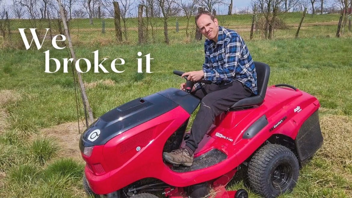 New riding lawn mower | Future meadow and first edible flowers in our permaculture garden New riding lawn mower | Future meadow and first edible flowers in our permaculture garden